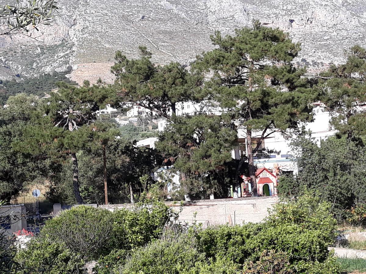 Mela Studios Panormos (Kalymnos) Exterior foto