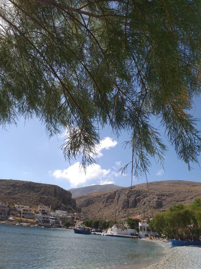 Mela Studios Panormos (Kalymnos) Exterior foto